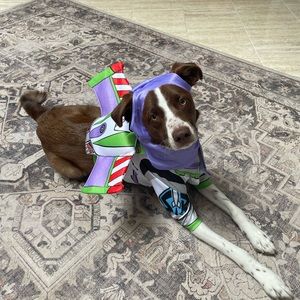 Dog Buzz Lightyear Costume